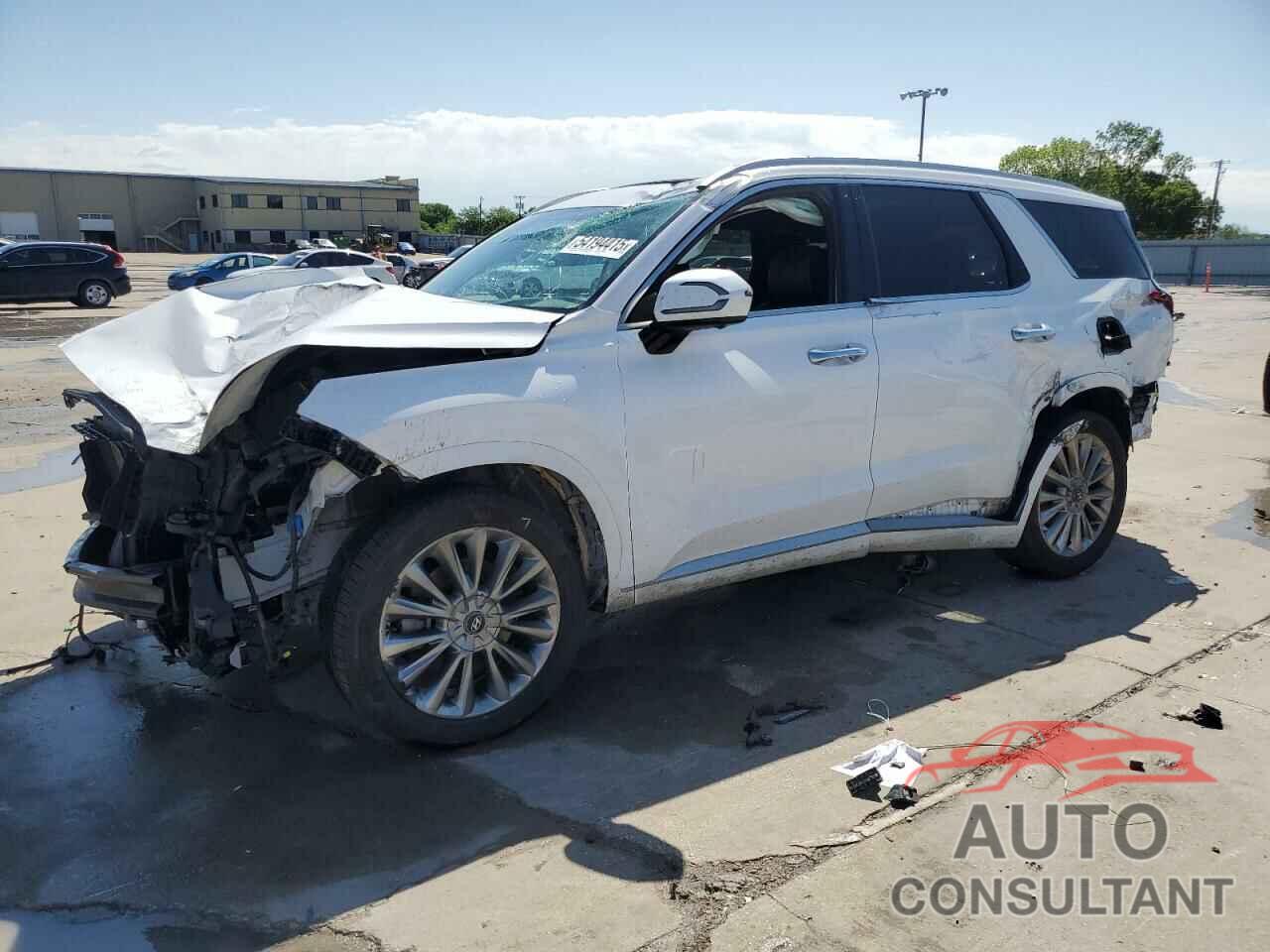 HYUNDAI PALISADE 2020 - KM8R5DHE9LU102289