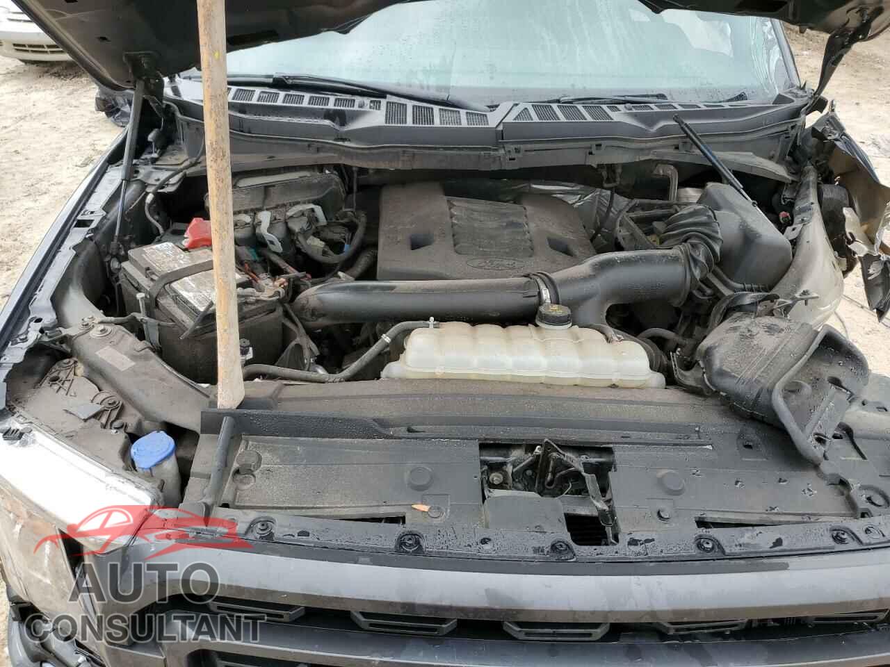 FORD F-150 2021 - 1FTFW1E85MFC59292