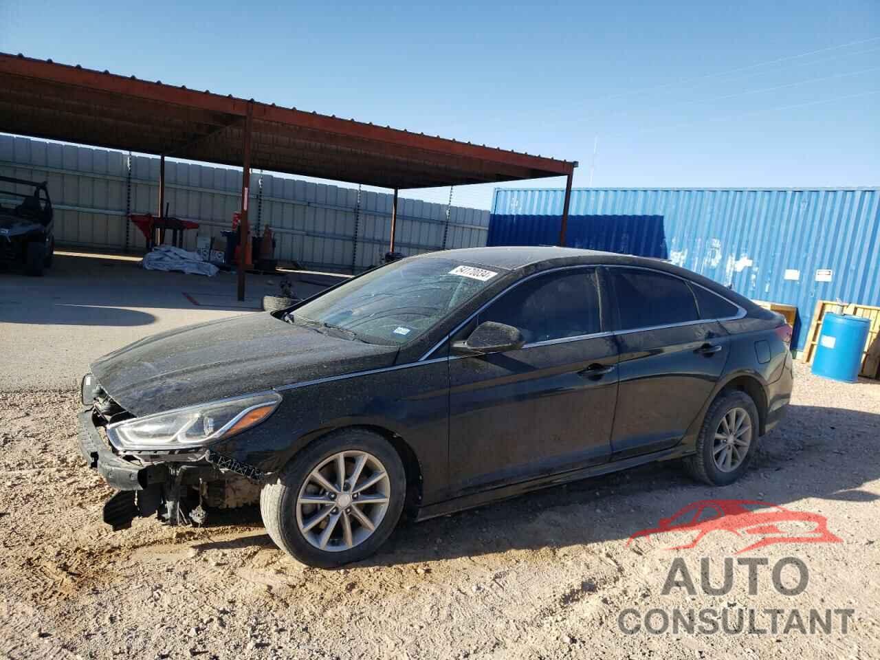 HYUNDAI SONATA 2019 - 5NPE24AF8KH773511