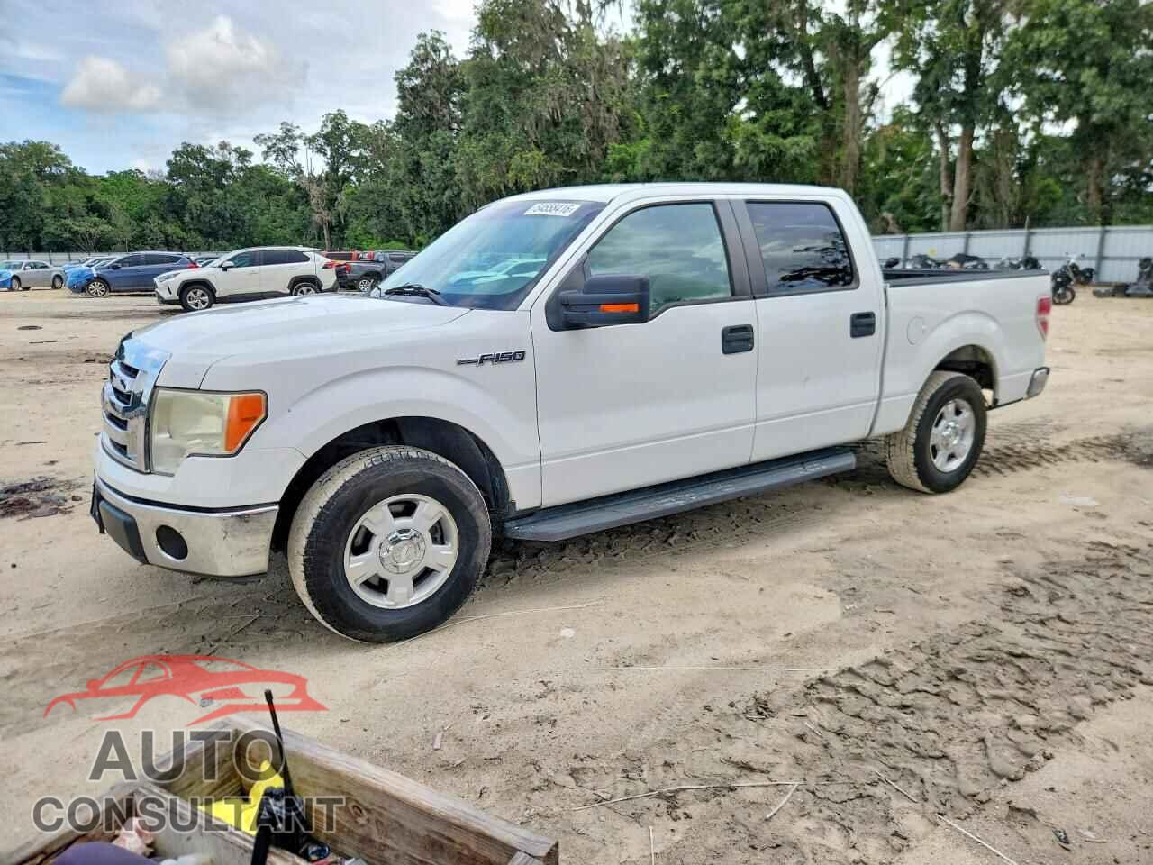 FORD F150 2011 - 1FTEW1CM8BKD06394