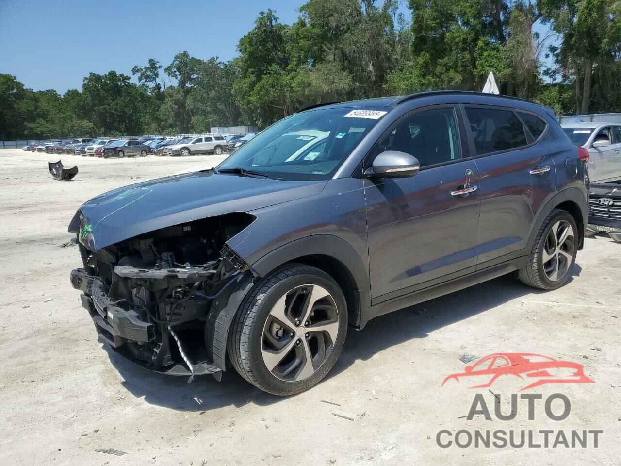 HYUNDAI TUCSON 2016 - KM8J33A22GU209297