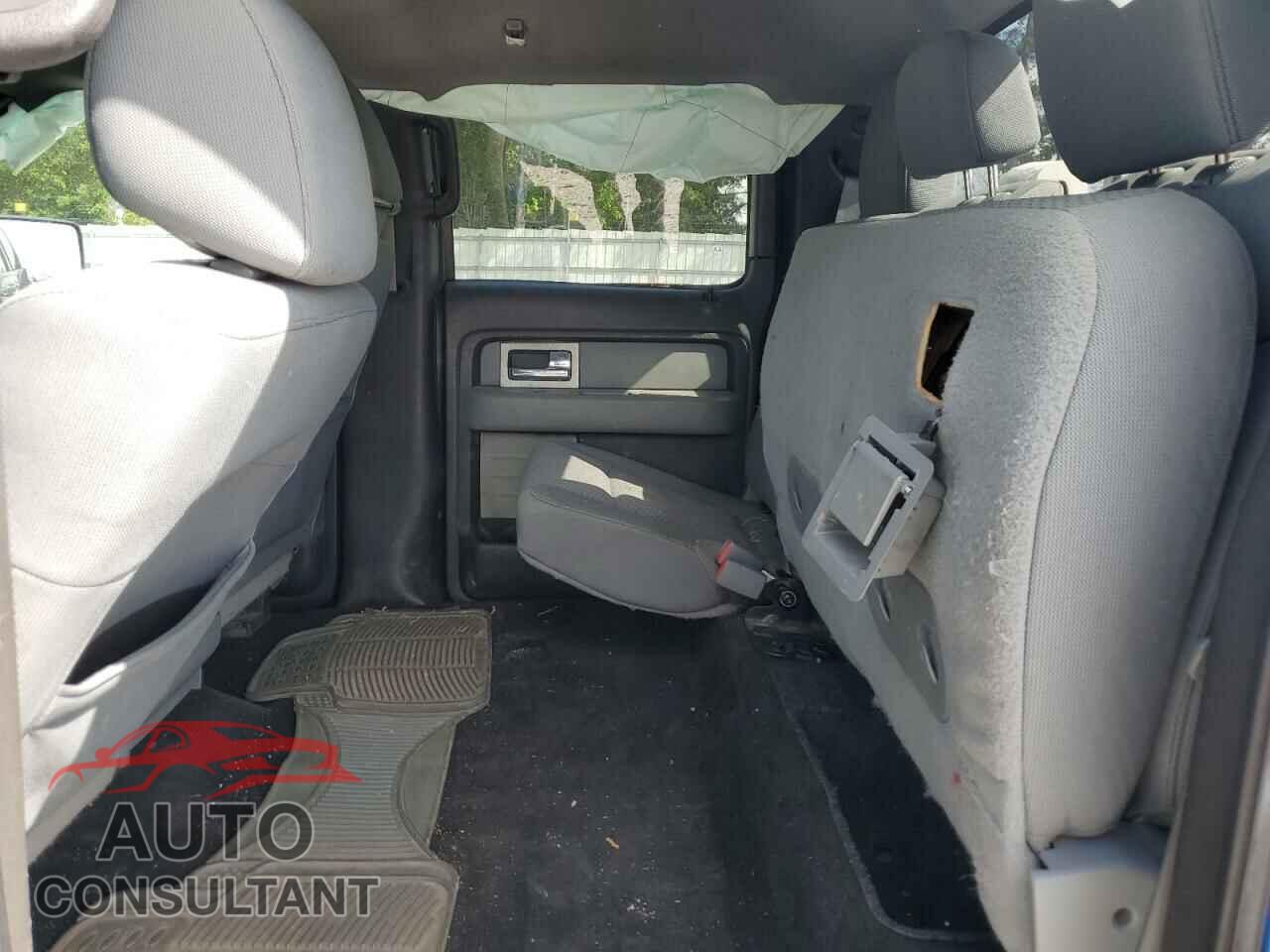 FORD F-150 2011 - 1FTEW1CM3BFB71401