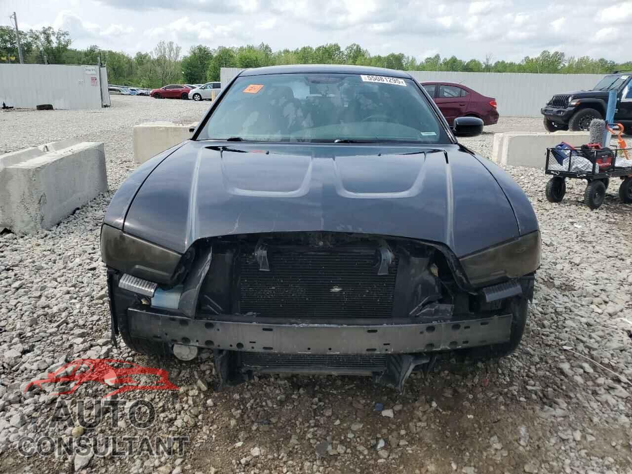 DODGE CHARGER 2014 - 2C3CDXCT5EH167932
