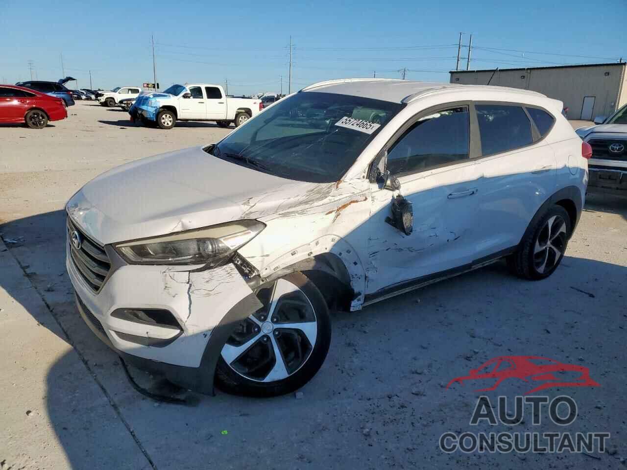 HYUNDAI TUCSON 2016 - KM8J33A29GU161376