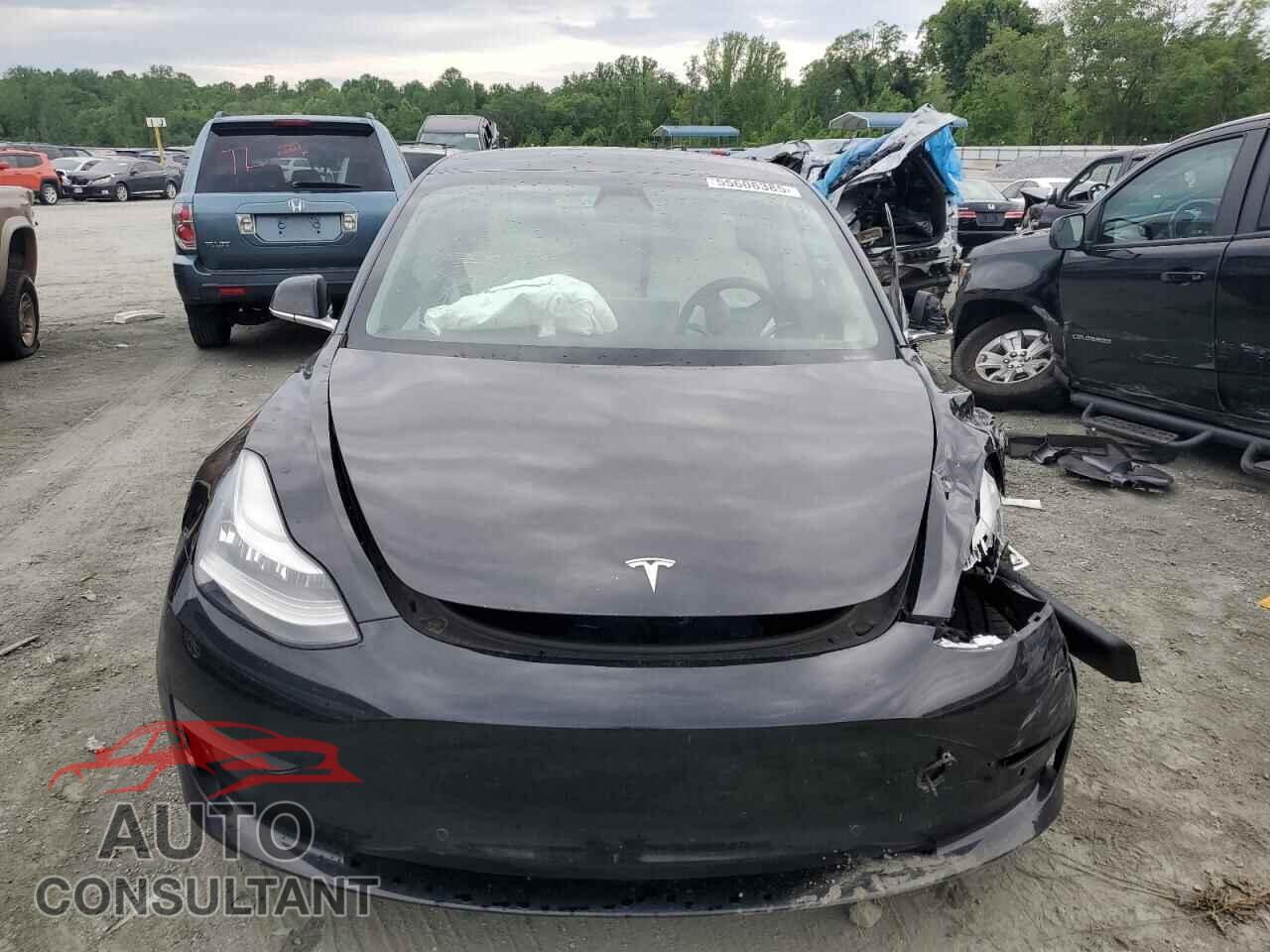 TESLA MODEL 3 2019 - 5YJ3E1EB9KF390552