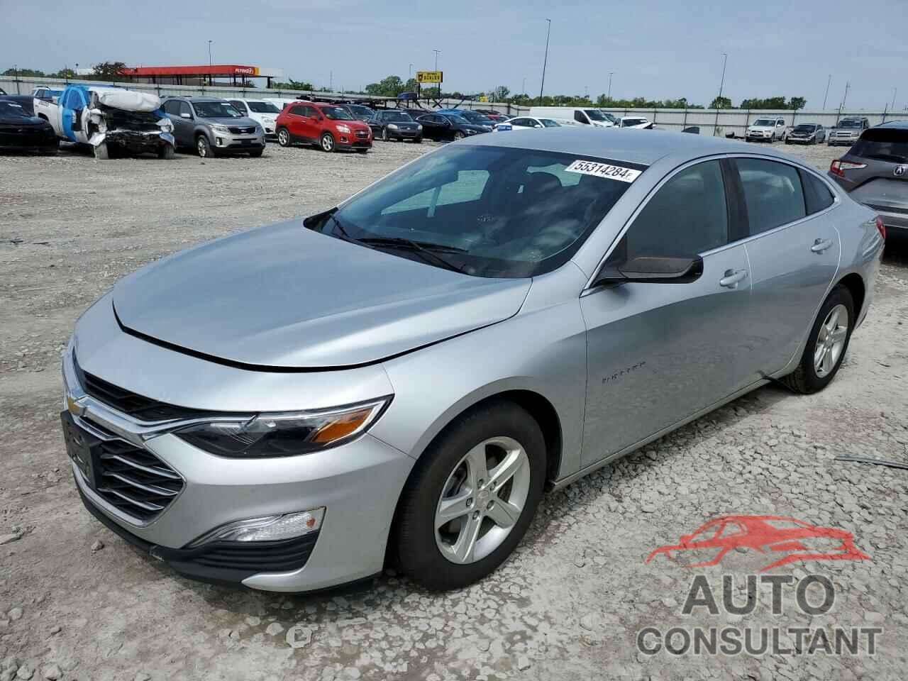 CHEVROLET MALIBU 2019 - 1G1ZB5ST0KF225808