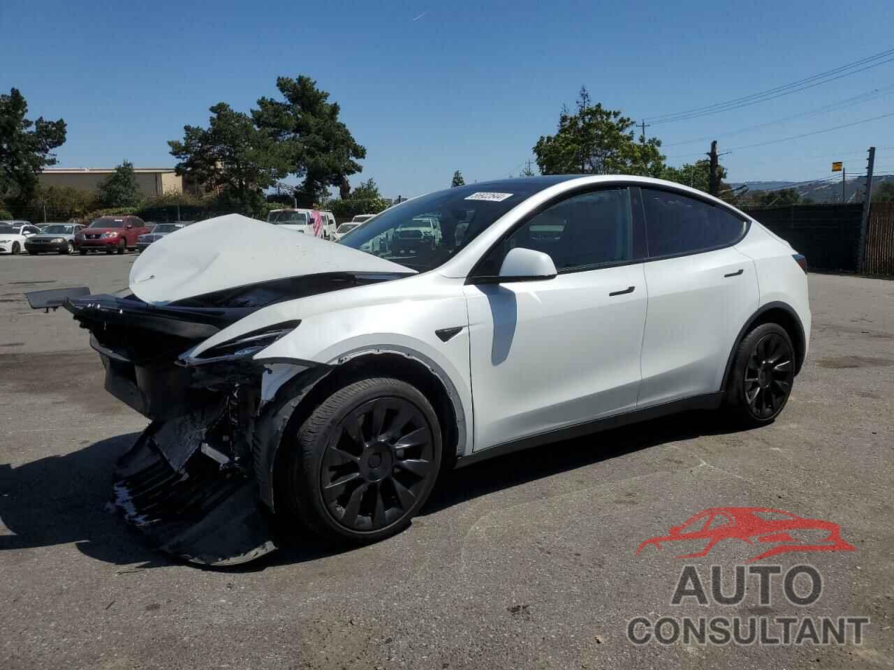 TESLA MODEL Y 2022 - 7SAYGAEE5NF573304