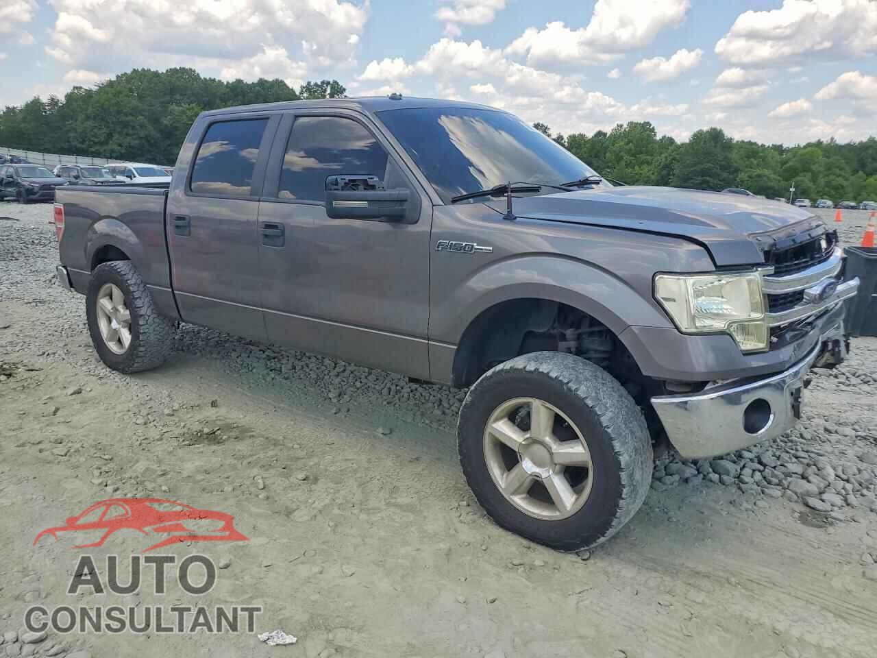 FORD F150 2013 - 1FTFW1CFXDFD31606