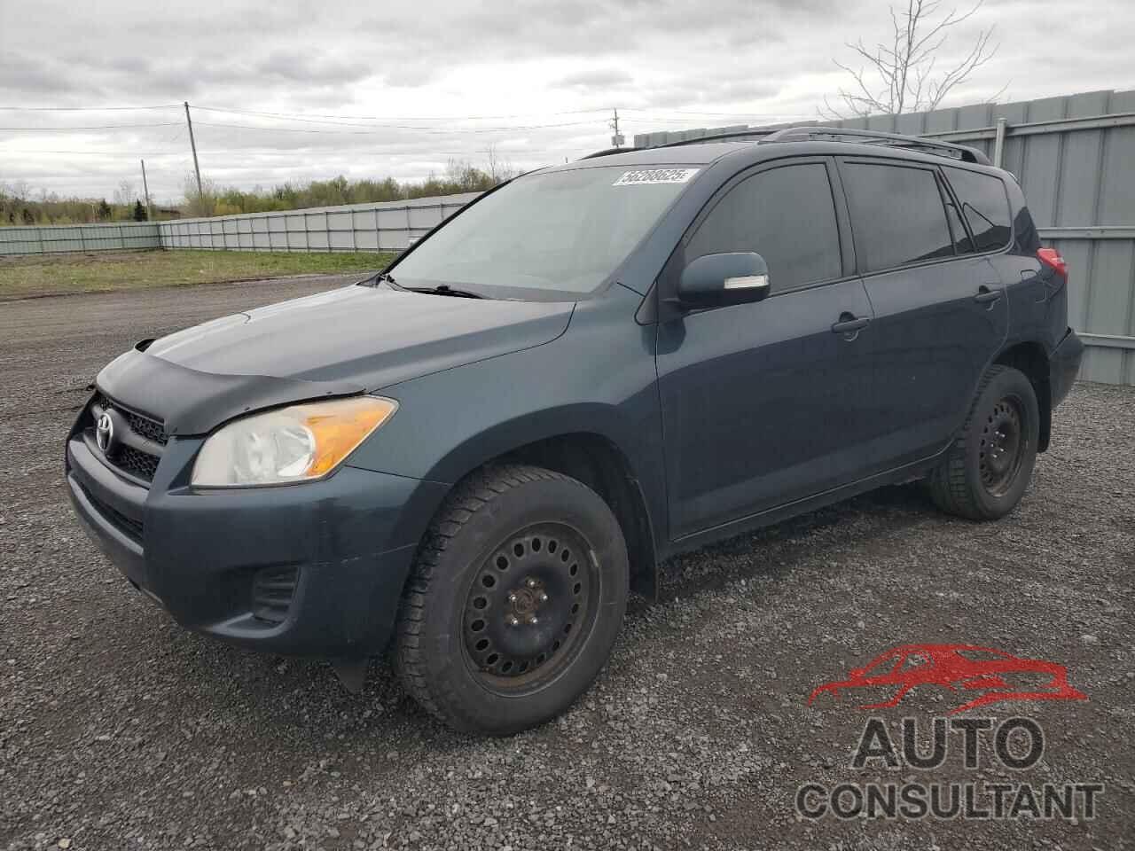 TOYOTA RAV4 2011 - 2T3BF4DV5BW115177
