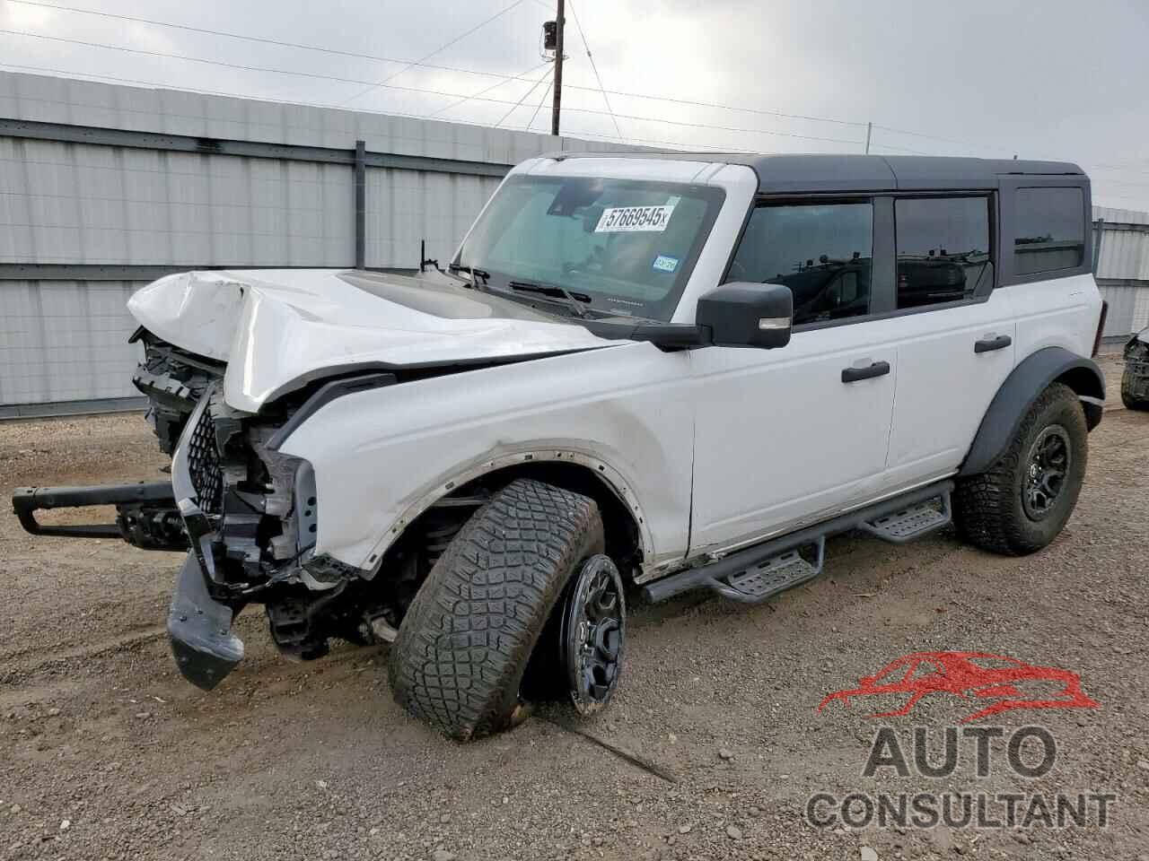 FORD BRONCO WIL 2024 - 1FMEE2BP4RLA19493