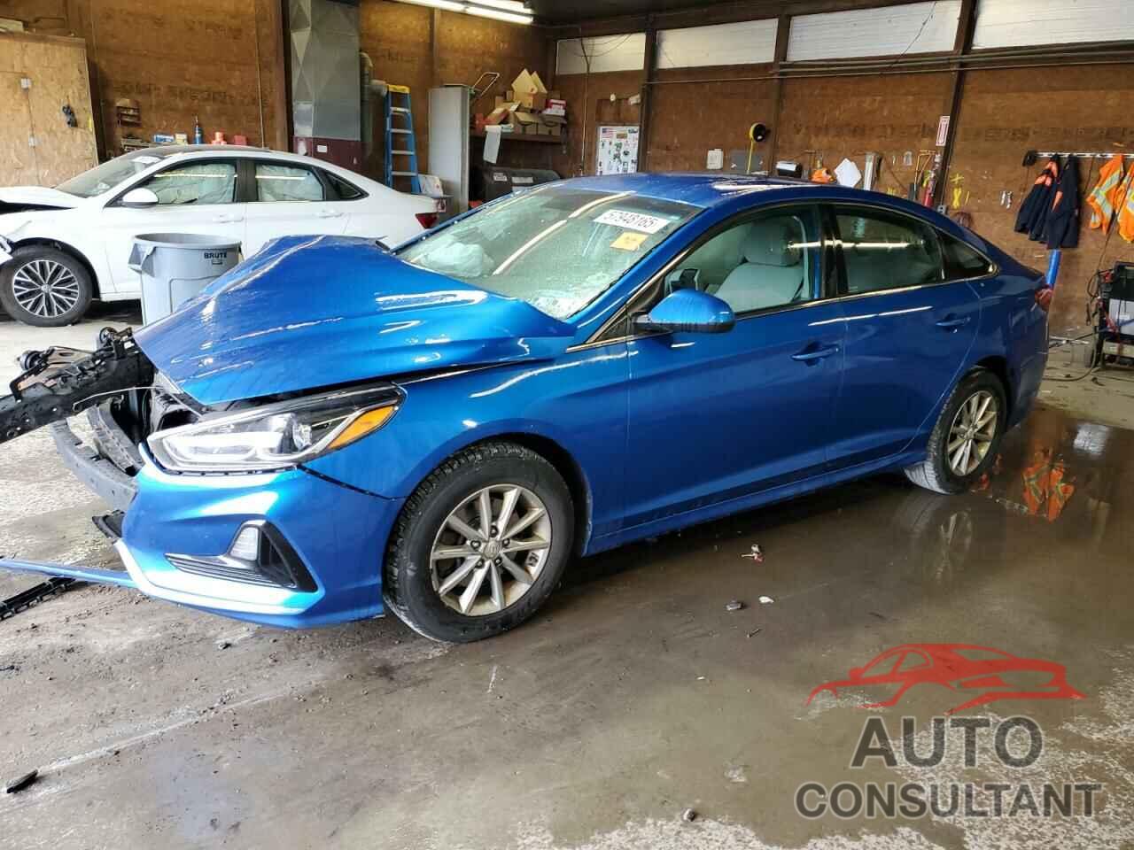 HYUNDAI SONATA 2019 - 5NPE24AF9KH754997