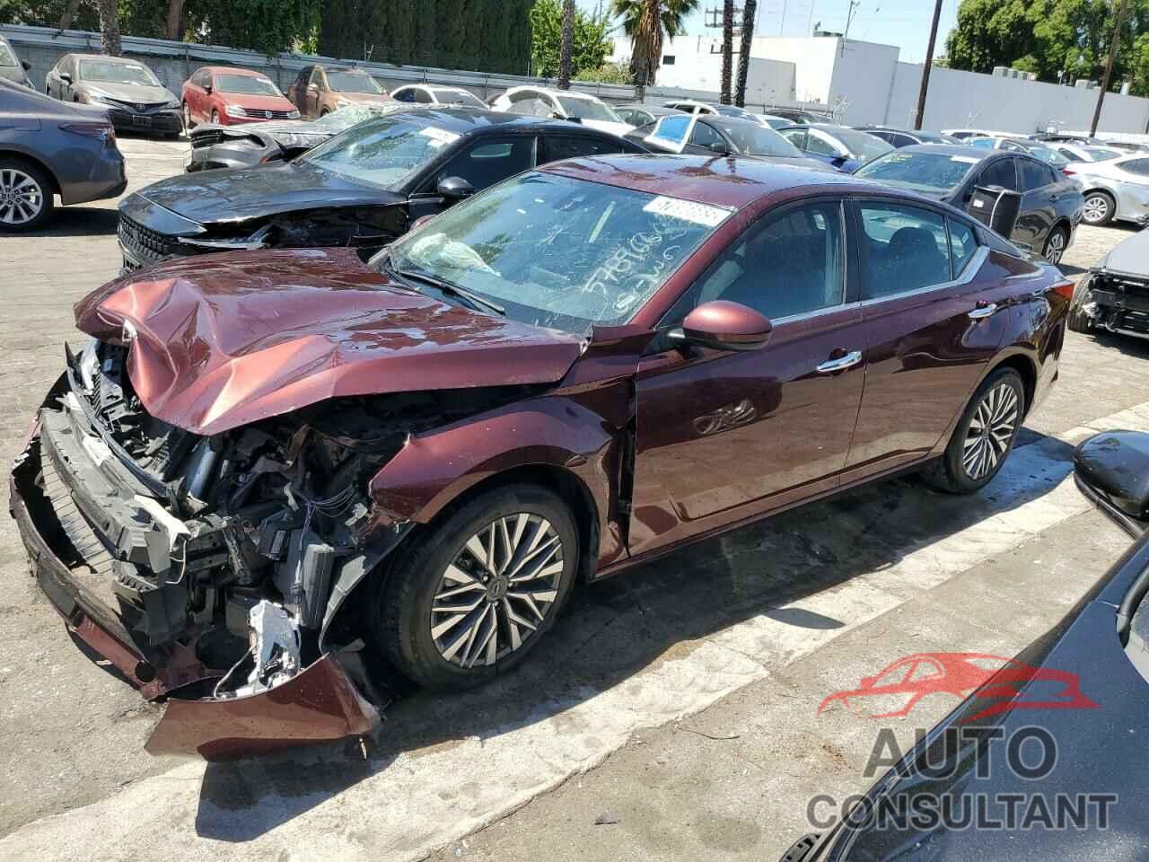 NISSAN ALTIMA 2023 - 1N4BL4DVXPN336318