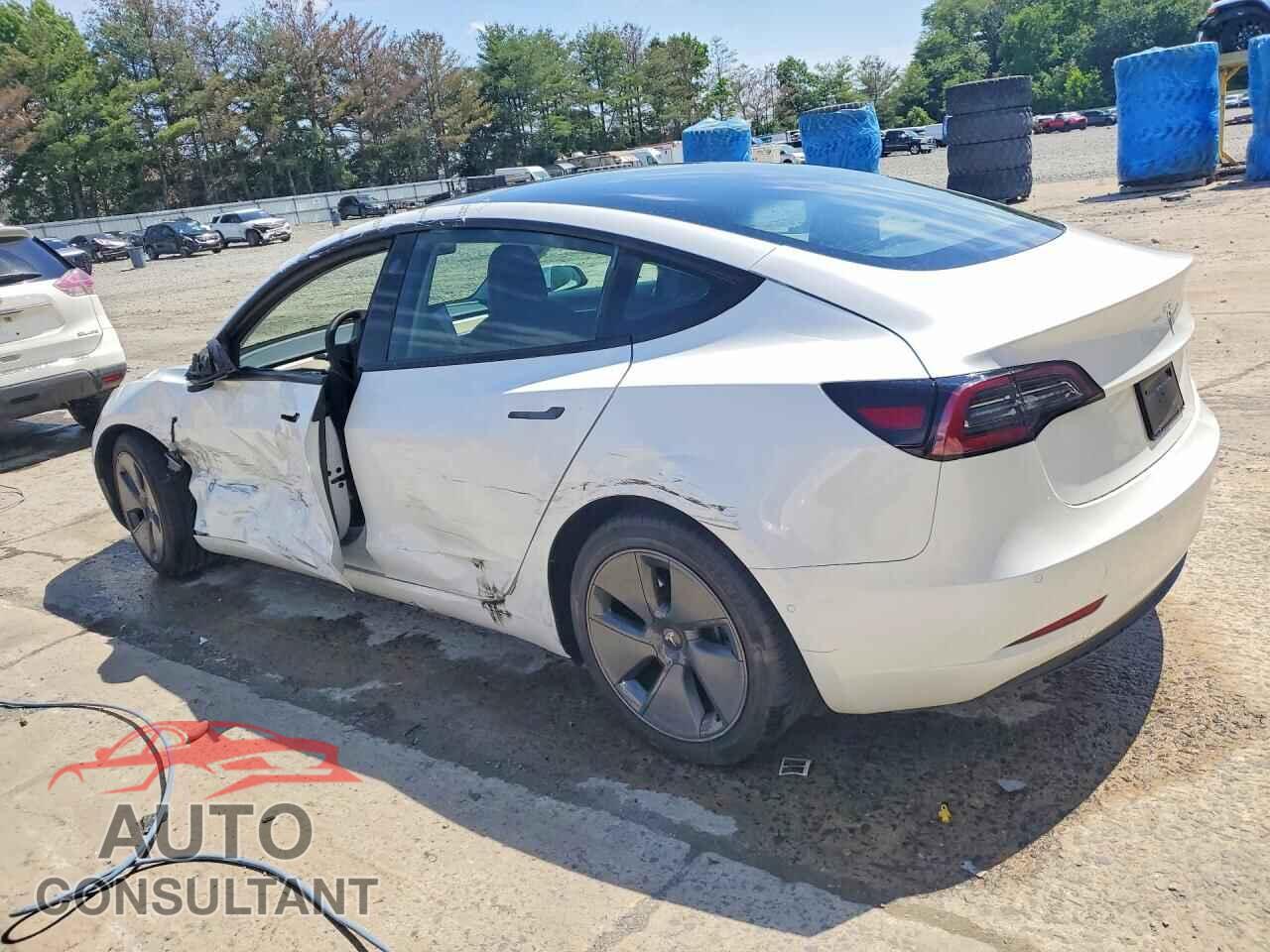 TESLA MODEL 3 2021 - 5YJ3E1EA2MF031019