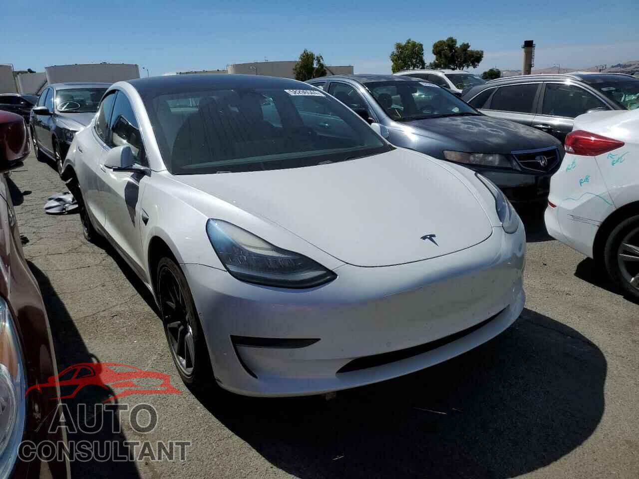 TESLA MODEL 3 2019 - 5YJ3E1EB2KF433483