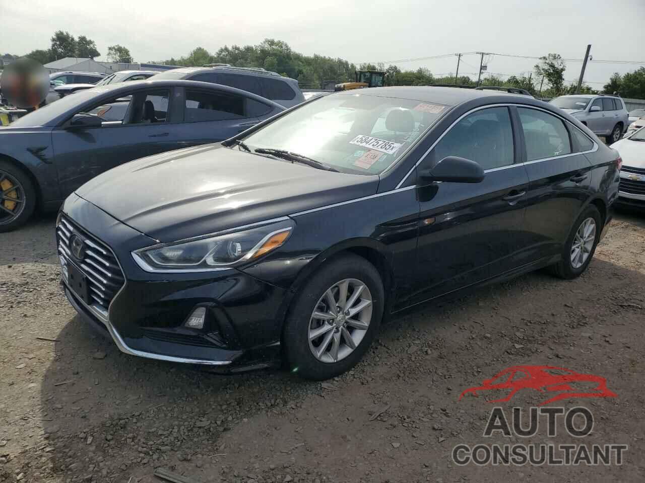 HYUNDAI SONATA 2019 - 5NPE24AF7KH779249
