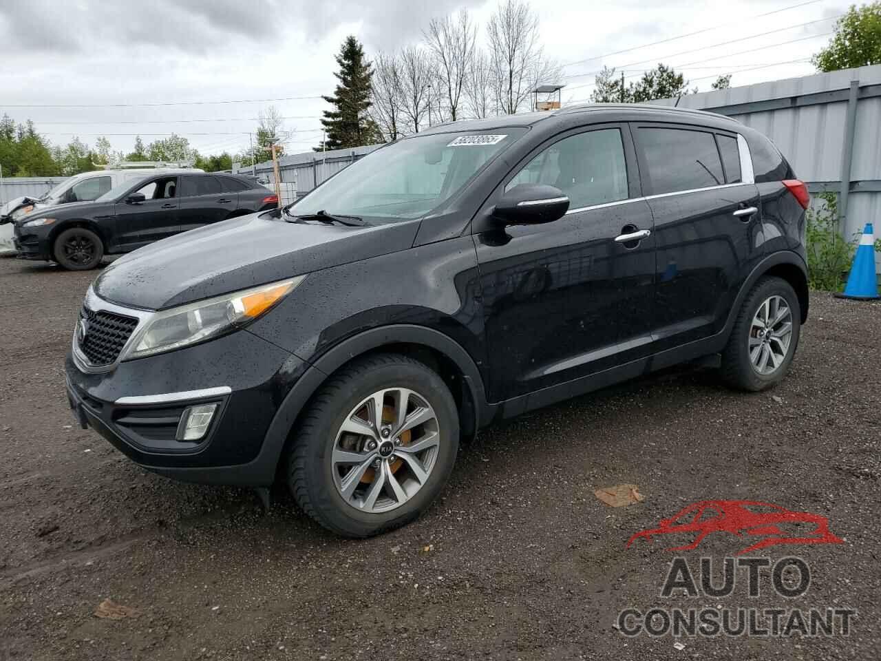 KIA SPORTAGE 2016 - KNDPC3AC5G7805431