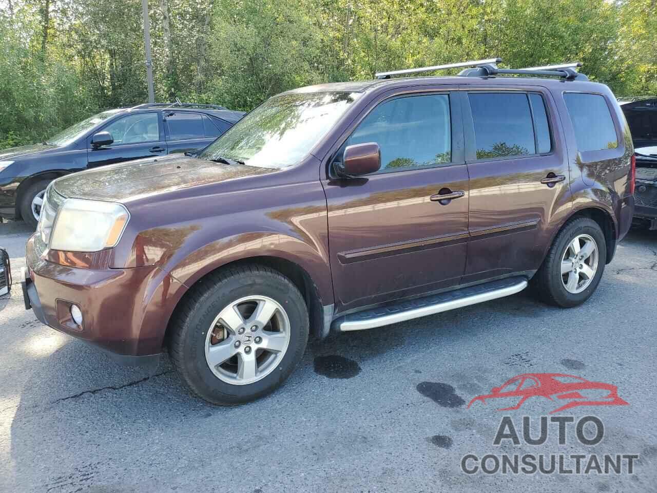 HONDA PILOT 2010 - 5FNYF4H55AB001253
