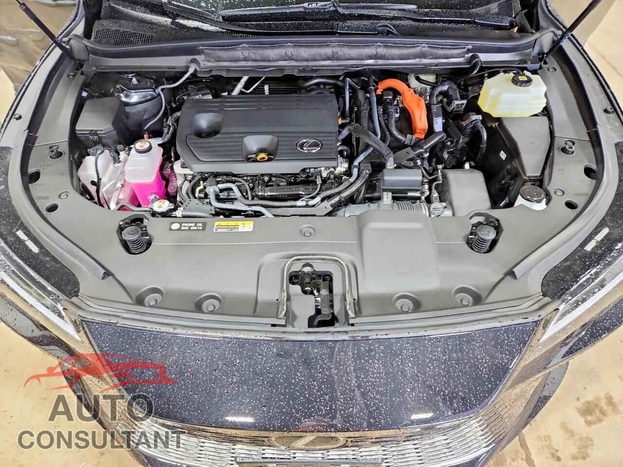 LEXUS UNKNOWN 2026 - 2T2BBMCA6TC132250