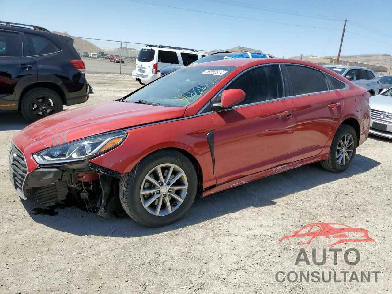 HYUNDAI SONATA 2019 - 5NPE24AF3KH751528