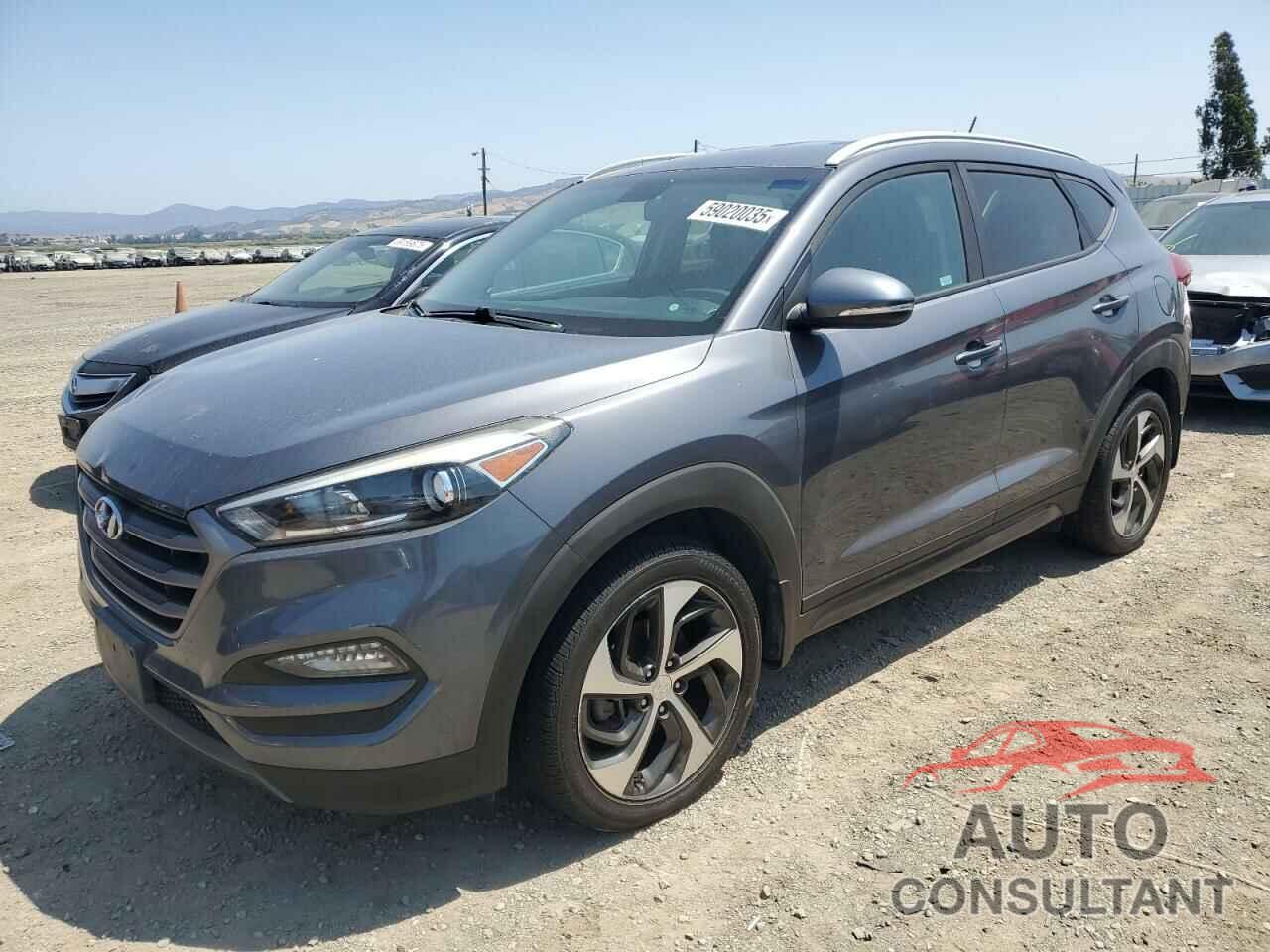 HYUNDAI TUCSON 2016 - KM8J33A28GU150613