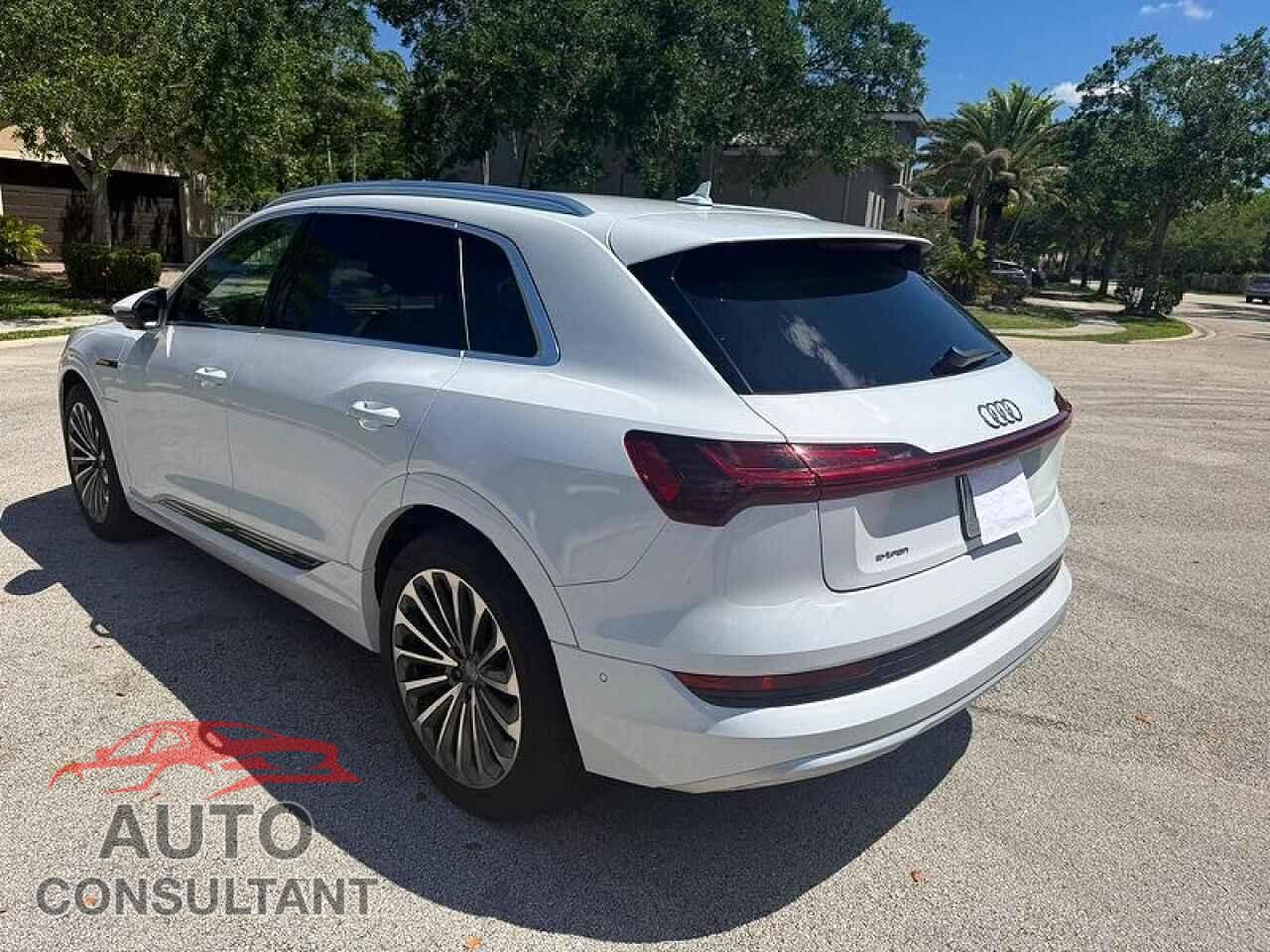 AUDI E-TRON 2019 - WA1VAAGE9KB023322