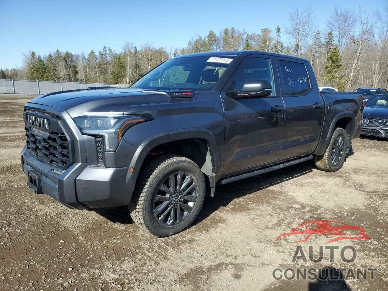 TOYOTA TUNDRA 2024 - 5TFPC5DBXRX083455