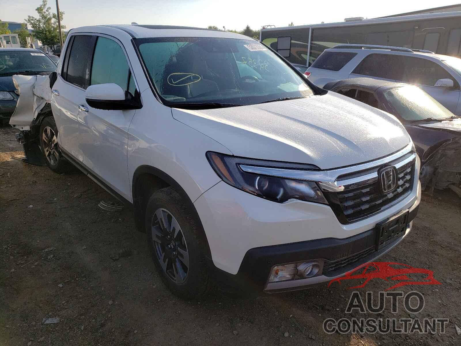 HONDA RIDGELINE 2019 - 5FPYK3F70KB033515