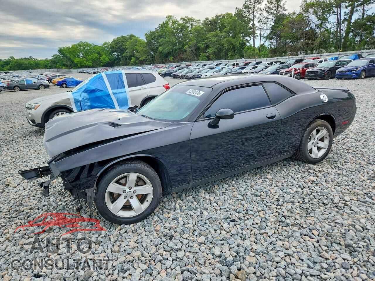 DODGE CHALLENGER 2013 - 2C3CDYAG5DH646023