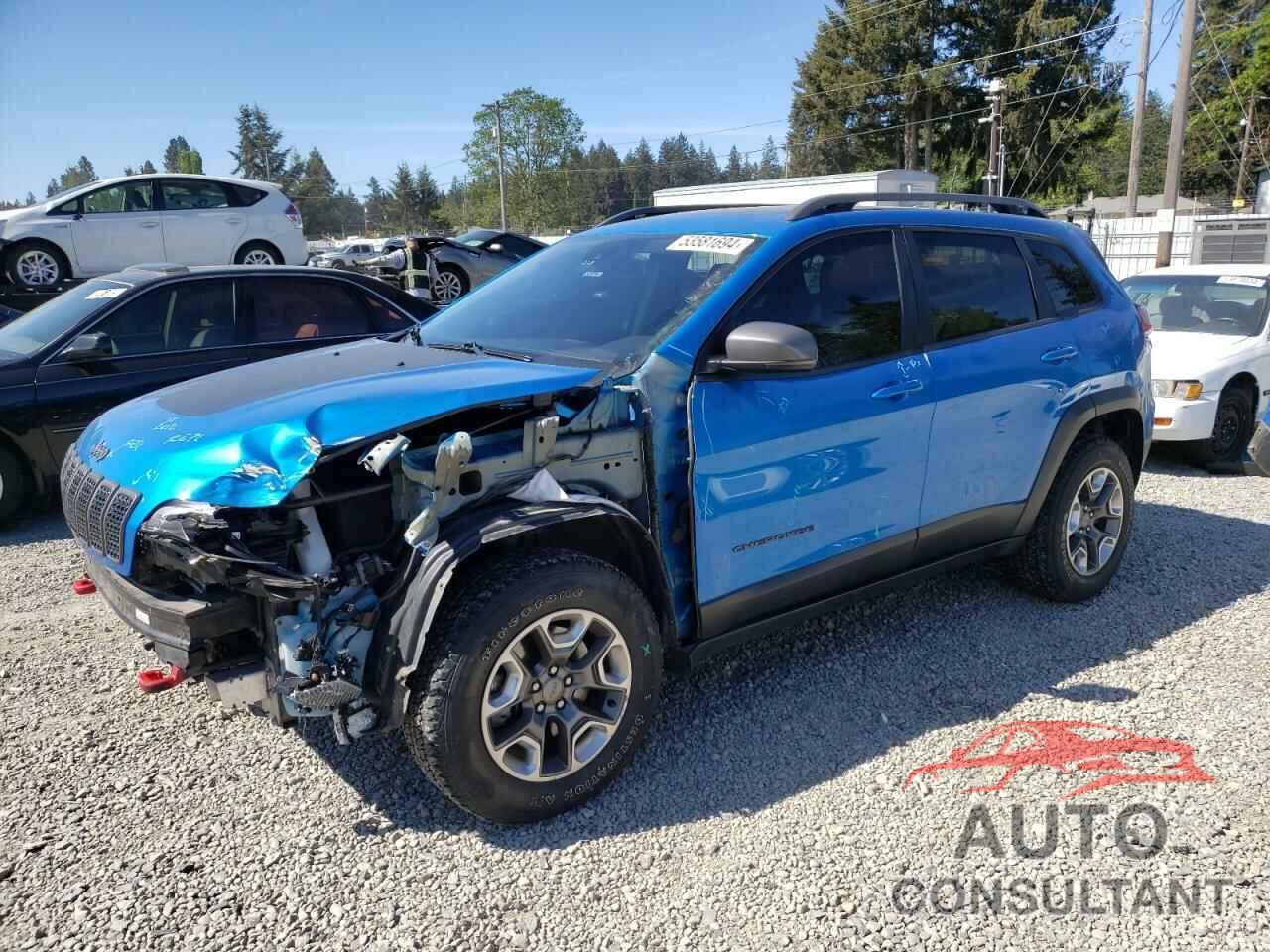 JEEP CHEROKEE 2019 - 1C4PJMBNXKD174486