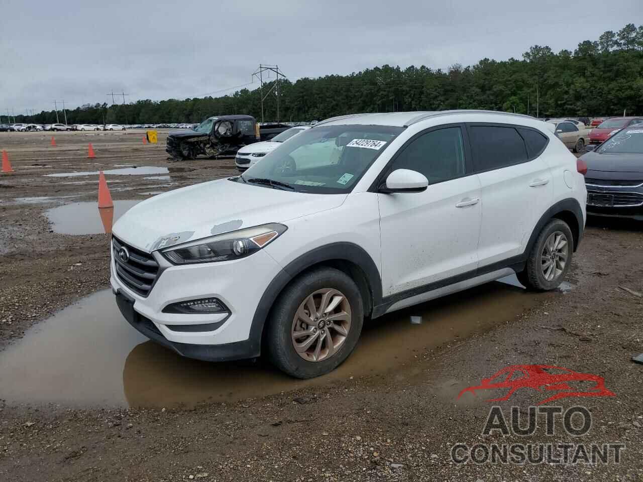 HYUNDAI TUCSON 2018 - KM8J33A46JU651377