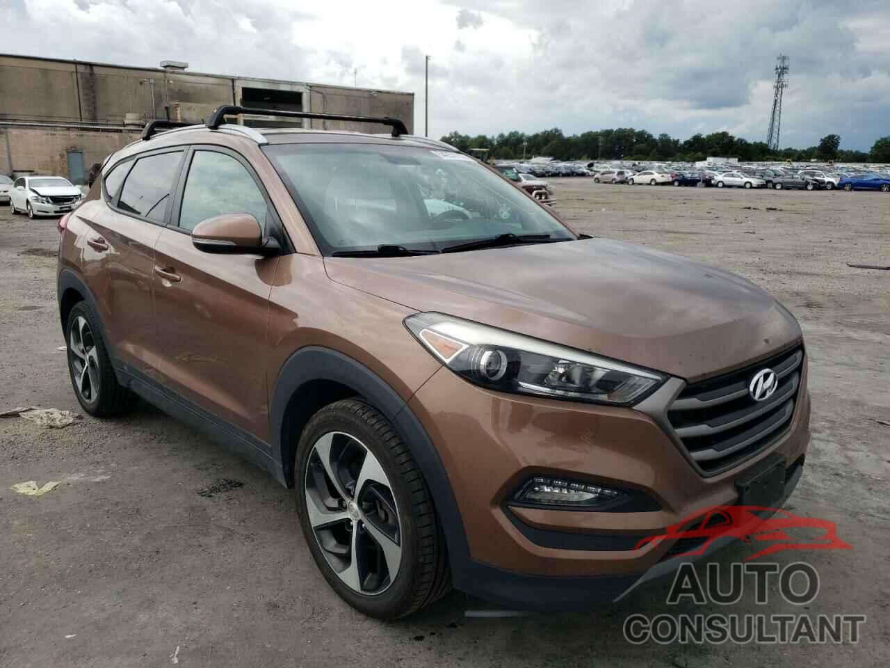 HYUNDAI TUCSON 2016 - KM8J3CA24GU048600