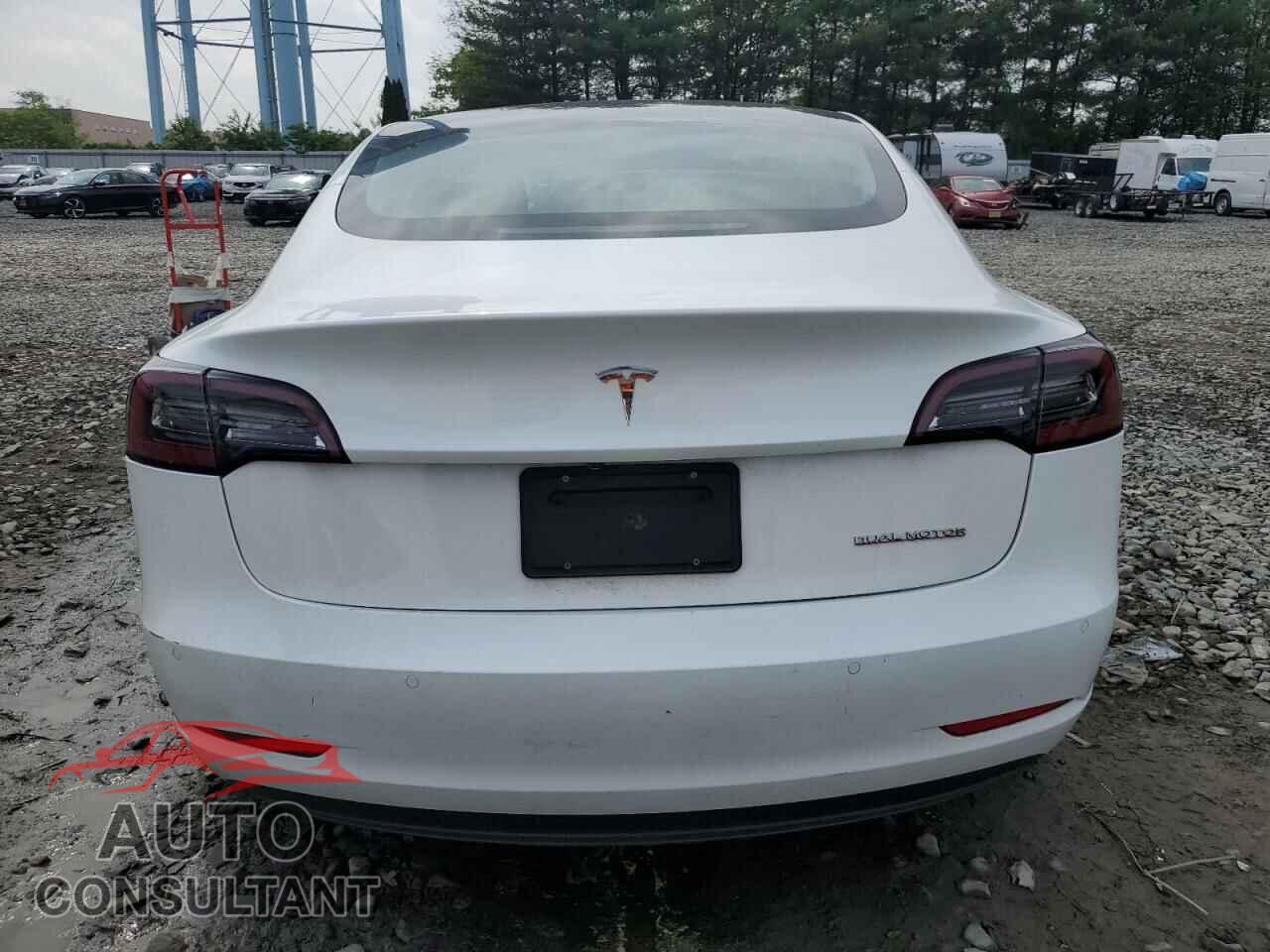 TESLA MODEL 3 2019 - 5YJ3E1EB8KF511569