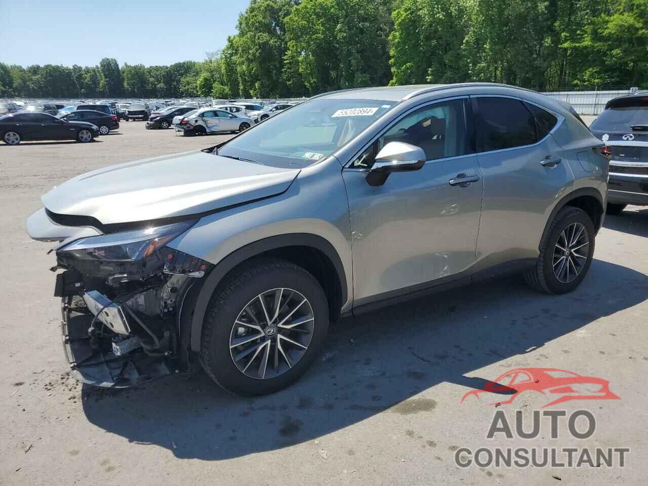 LEXUS NX 350H BA 2024 - 2T2GKCEZ9RC022417