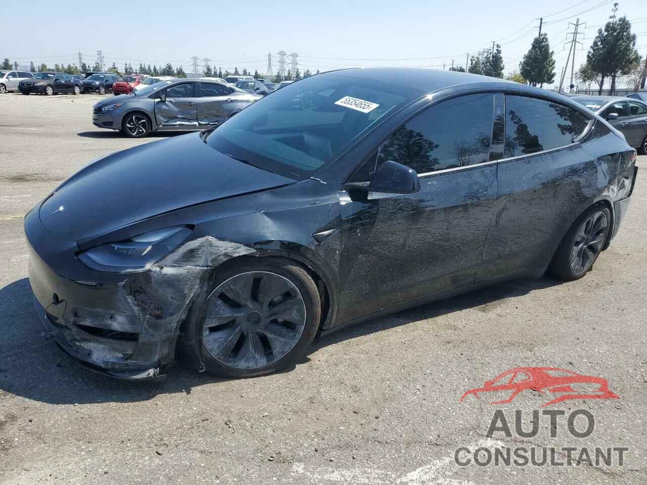 TESLA MODEL Y 2024 - 7SAYGDED8RF123516