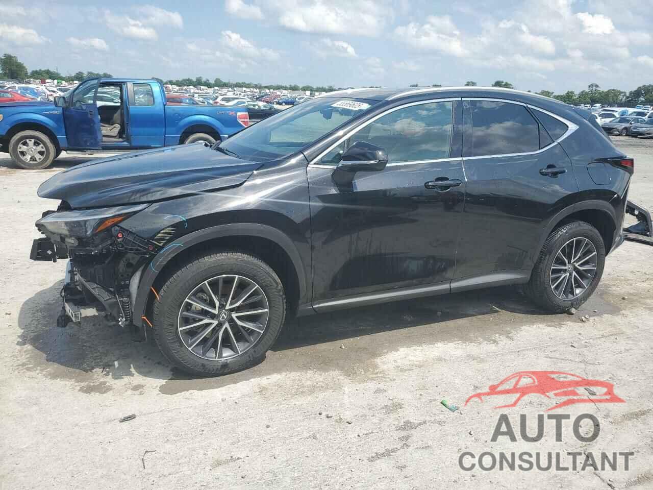 LEXUS NX 350H BA 2024 - 2T2GKCEZ5RC023130