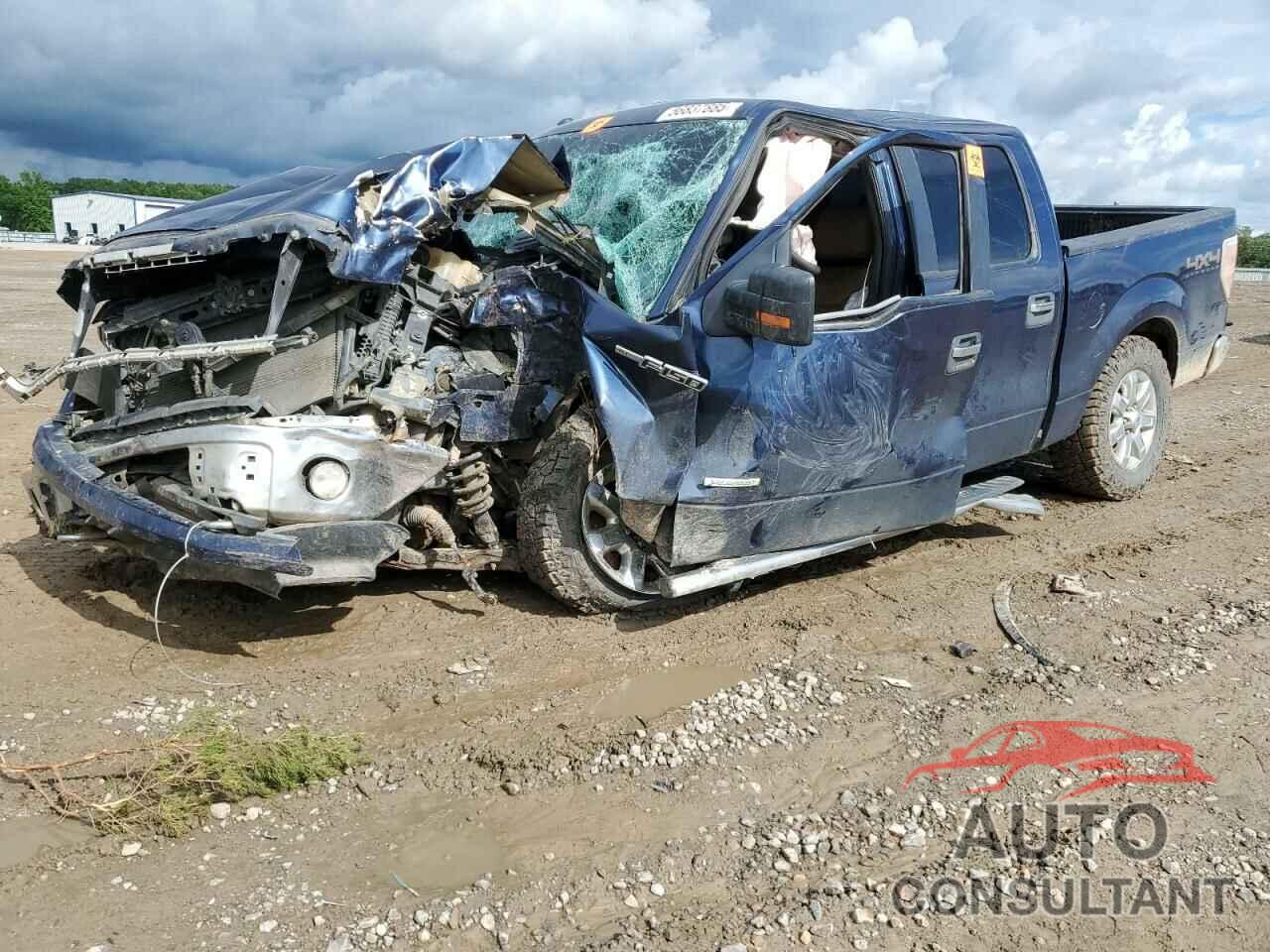 FORD F-150 2014 - 1FTFW1ET1EFC05378