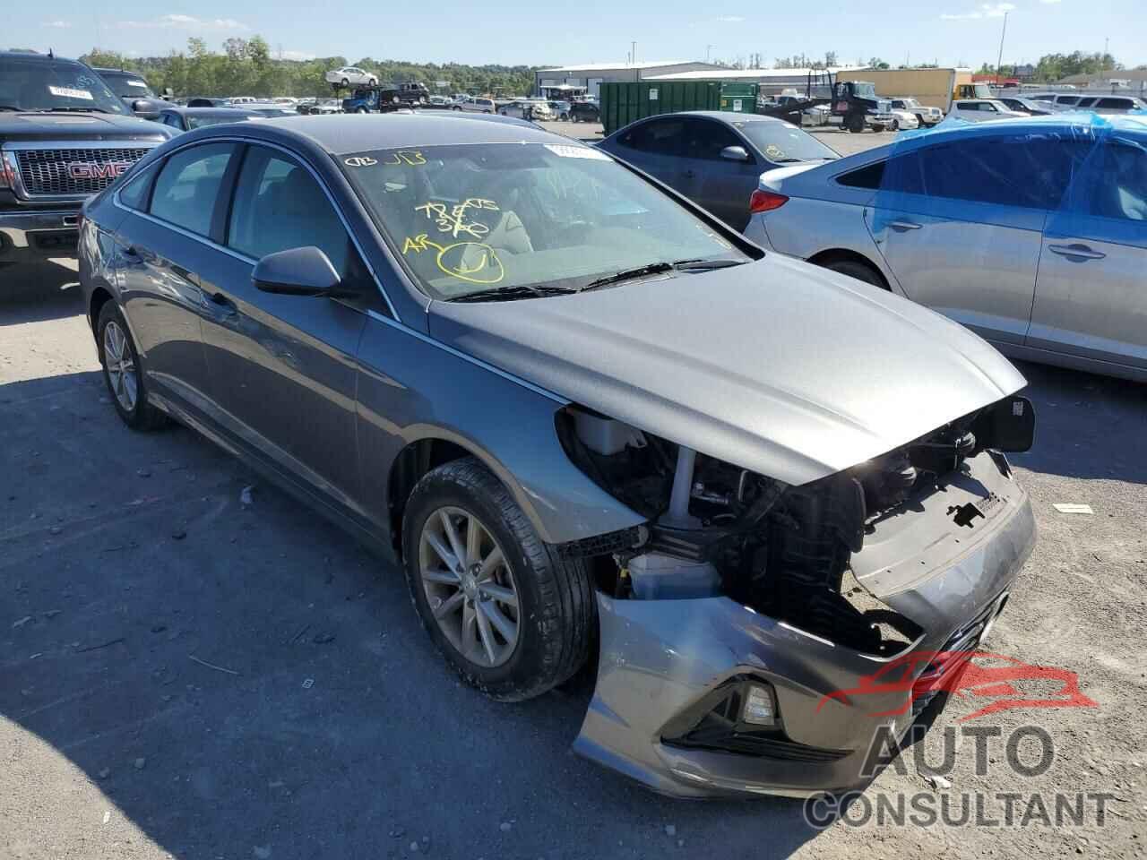 HYUNDAI SONATA 2019 - 5NPE24AF0KH743449