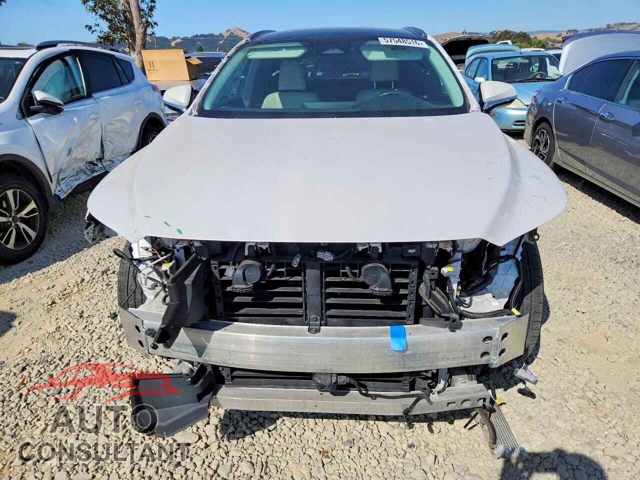 LEXUS UNKNOWN 2023 - 2T2BBMCAXPC013946