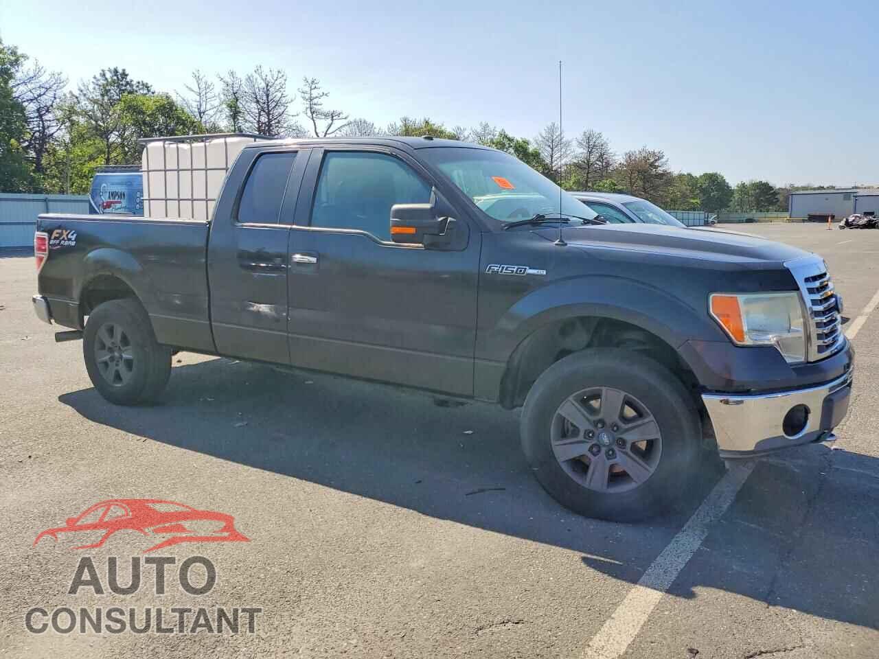FORD F150 2010 - 1FTFX1EV7AFA00513