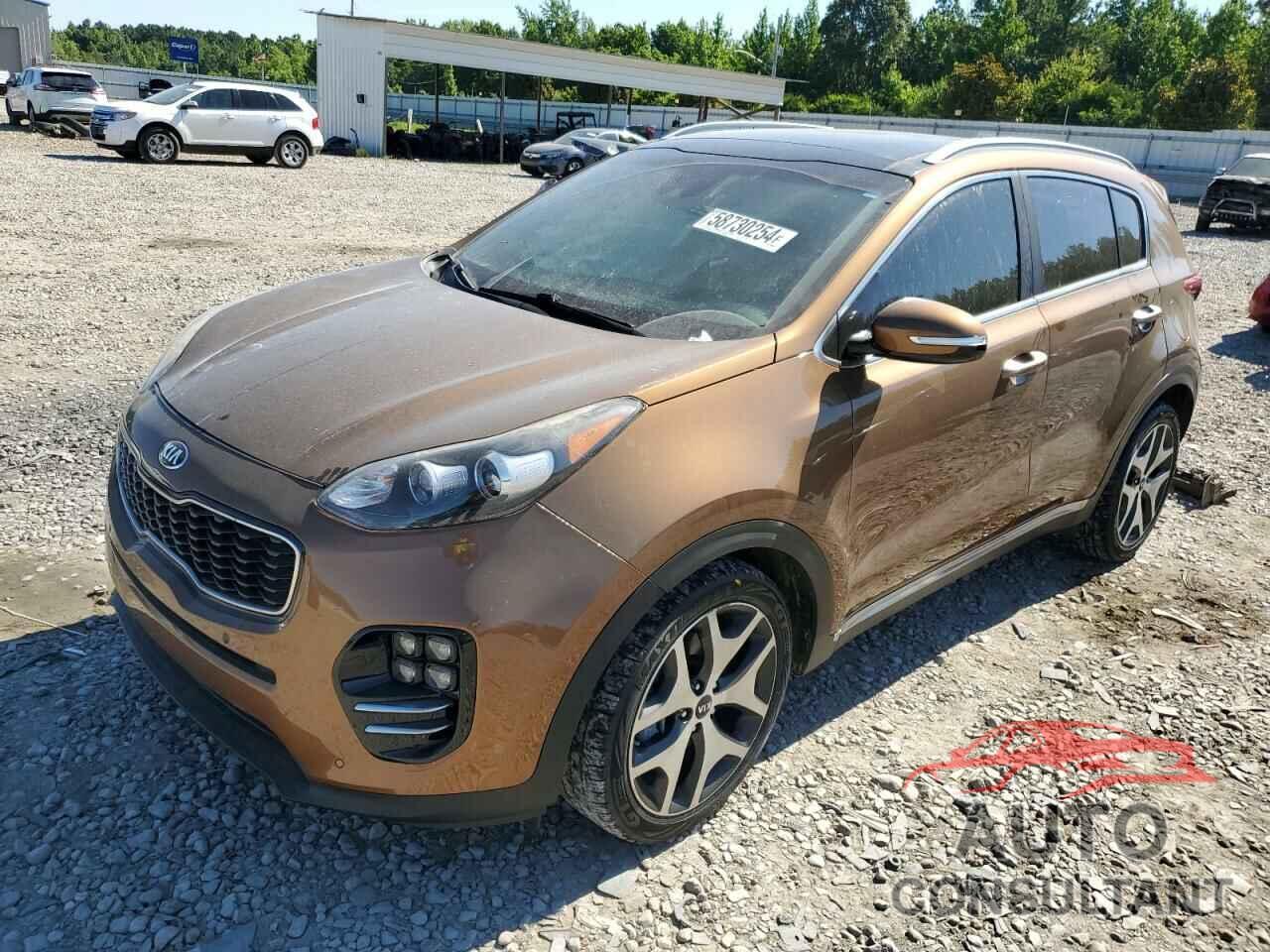 KIA SPORTAGE 2017 - KNDPR3A62H7129045