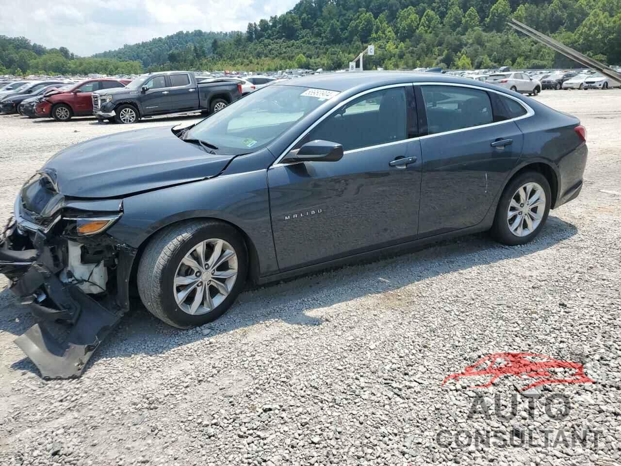 CHEVROLET MALIBU 2019 - 1G1ZD5ST9KF110103