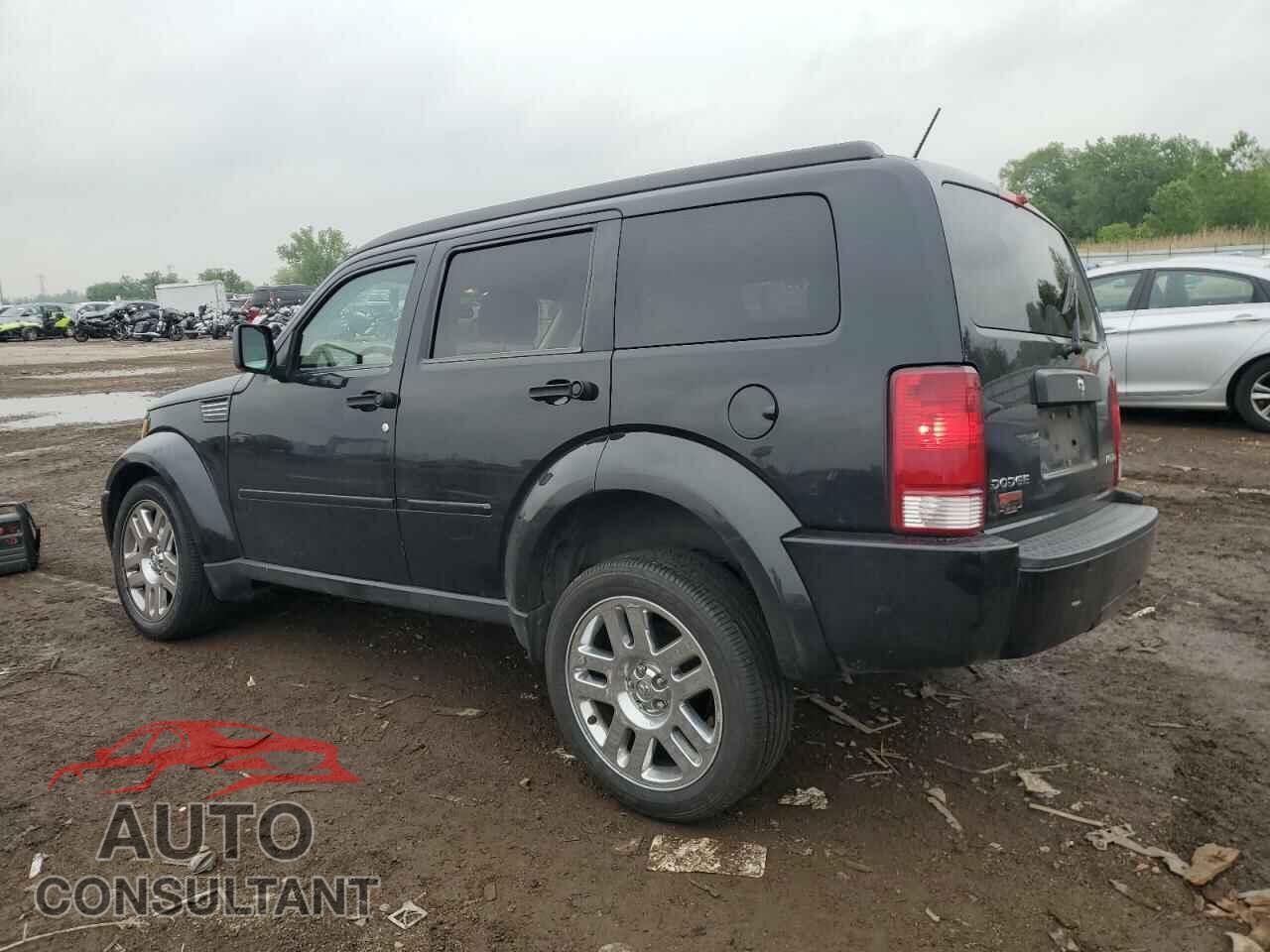 DODGE NITRO 2011 - 1D4PT4GK7BW597557