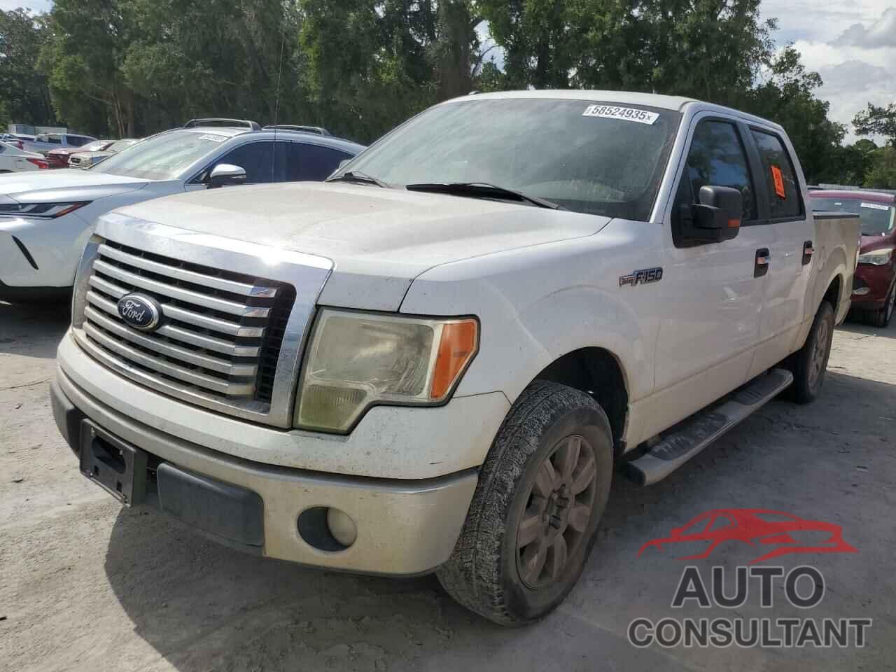 FORD F-150 2011 - 1FTFW1CF0BFA34048