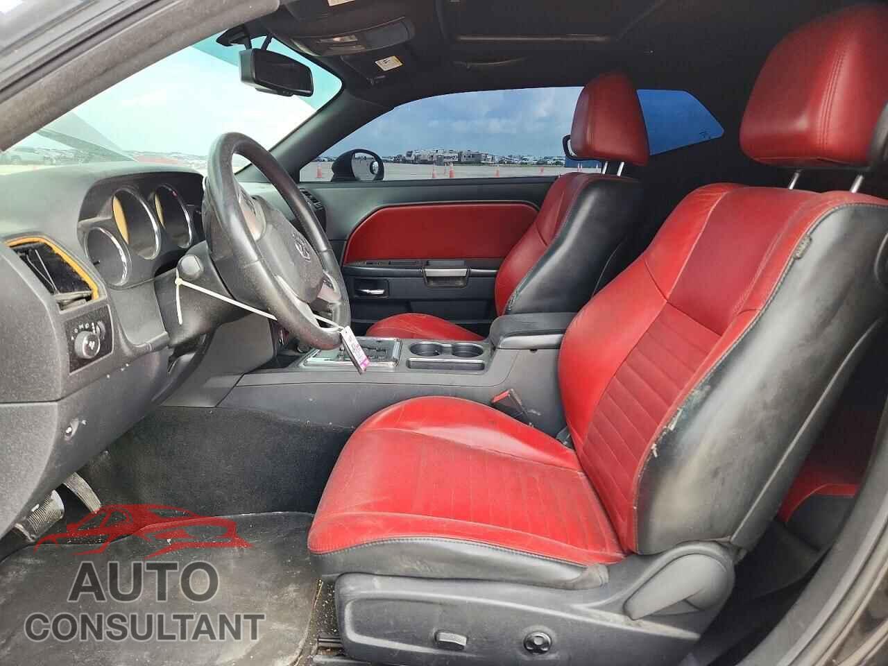 DODGE CHALLENGER 2013 - 2C3CDYBT2DH685910