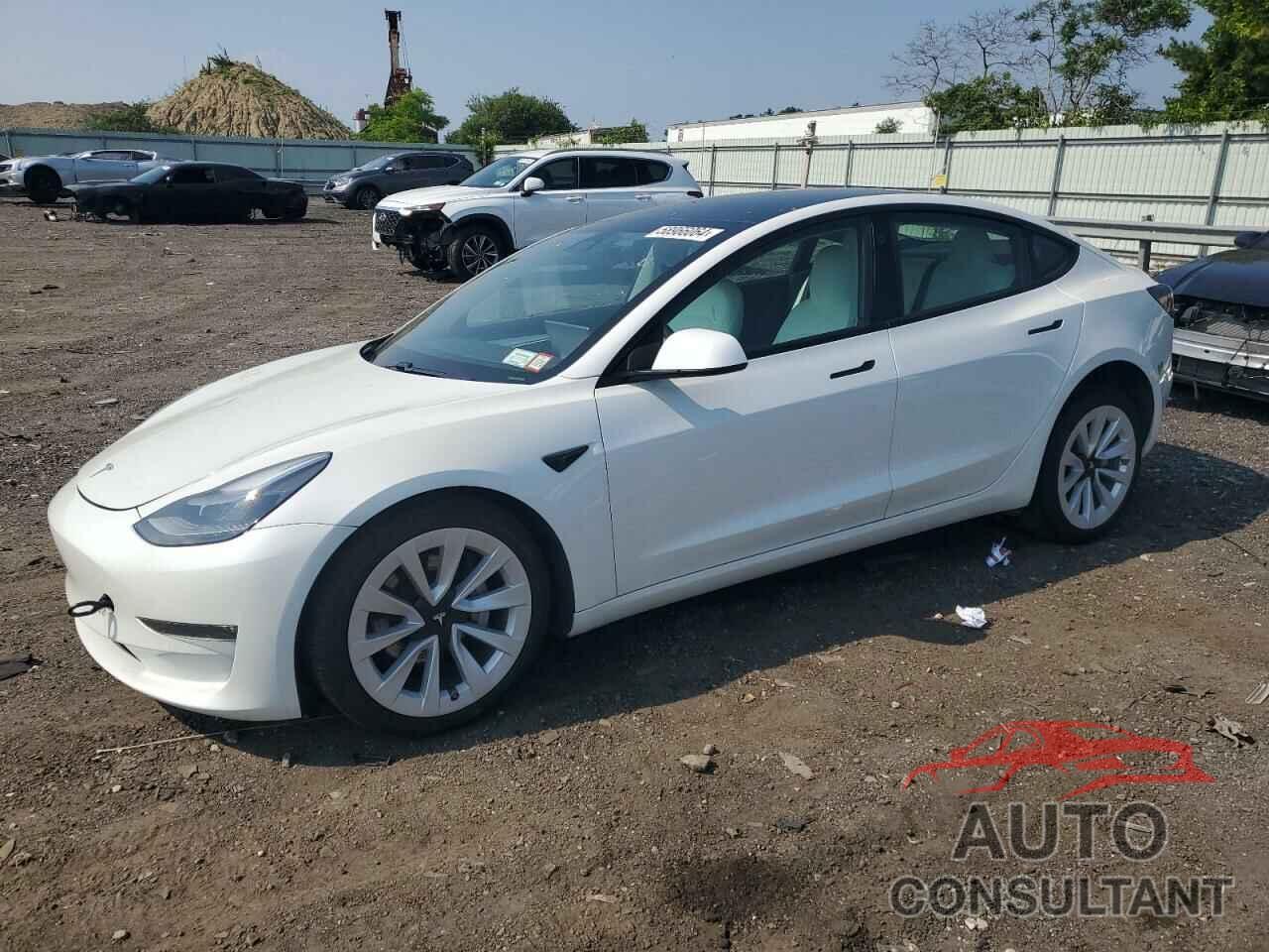 TESLA MODEL 3 2021 - 5YJ3E1EB7MF975455