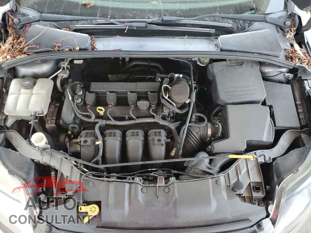 FORD FOCUS 2013 - 1FADP3F2XDL279345