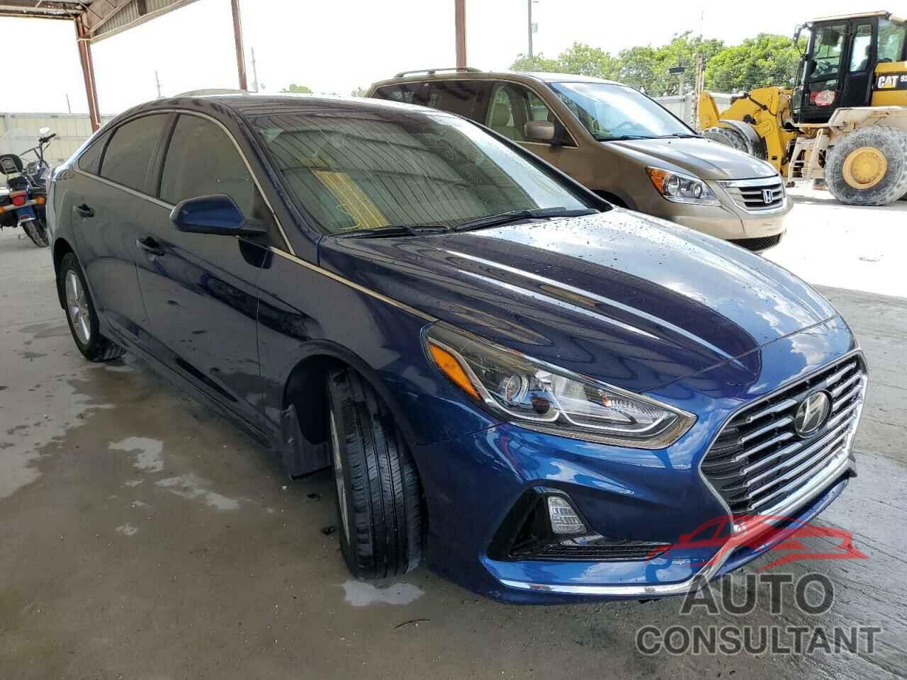 HYUNDAI SONATA 2019 - 5NPE24AFXKH798216