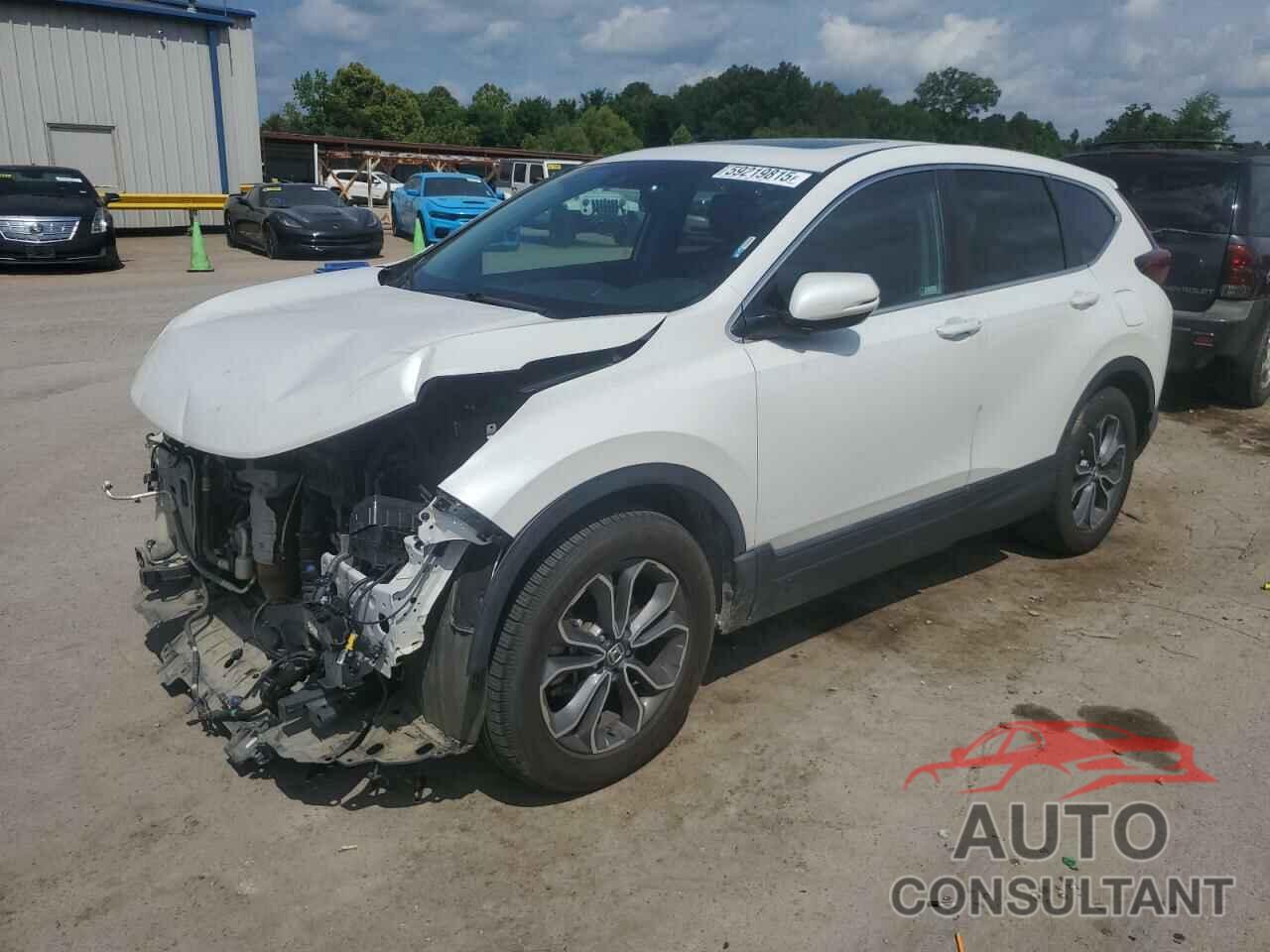 HONDA CRV 2022 - 5J6RW1H89NL000505