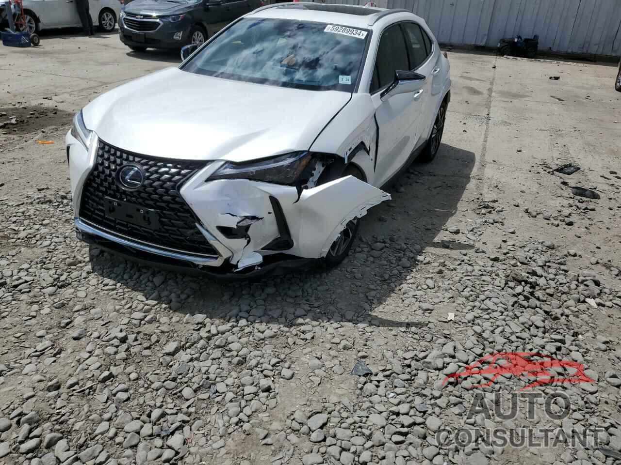 LEXUS UX 250H PR 2024 - JTHP9JBH4R2071151