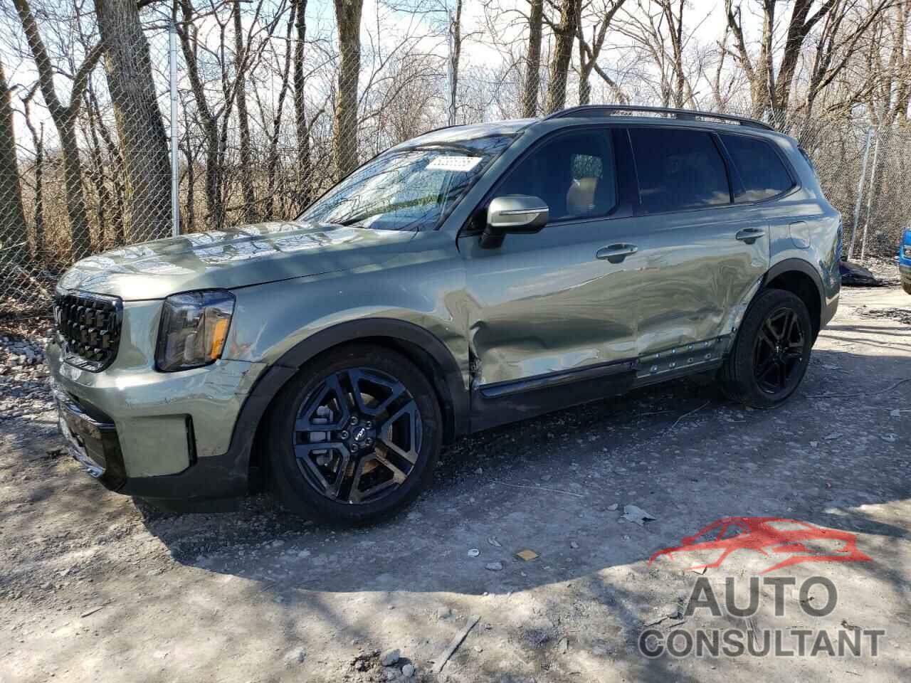 KIA TELLURIDE 2024 - 5XYP3DGC2RG559425